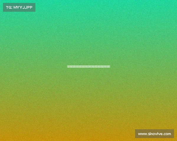 法甲女足精彩对决:强队争锋、挑战与突破展现不一样的足球魅力